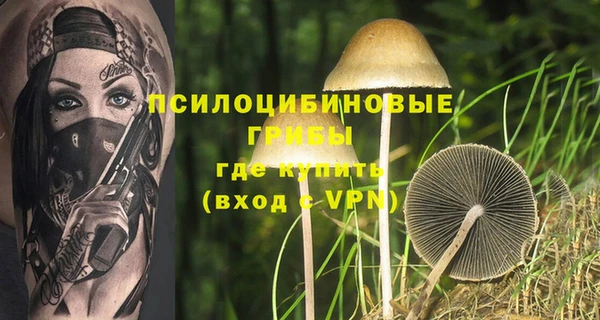 твердый Балахна