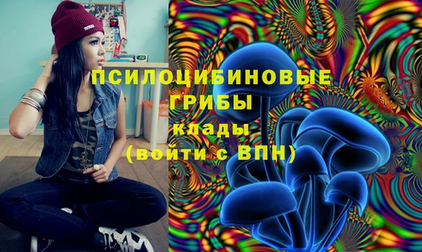 твердый Балахна