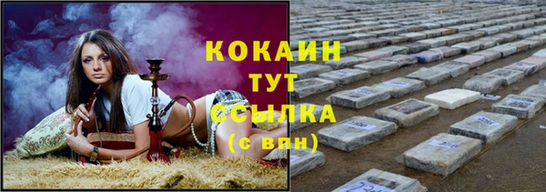 твердый Балахна