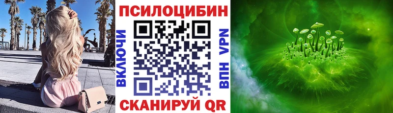 Галлюциногенные грибы Psilocybe где купить наркотик Бугуруслан