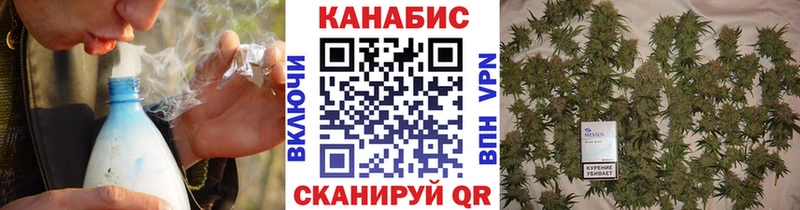 Бошки марихуана OG Kush  это наркотические препараты  Бугуруслан 